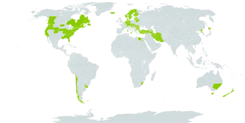 Anthemis arvensis subsp. arvensis world distribution map, present in Albania, Andorra, Australia, Austria, Azerbaijan, Belgium, Bulgaria, Bosnia and Herzegovina, Belarus, Canada, Switzerland, Chile, Czech Republic, Germany, Denmark, Egypt, Spain, Estonia, Finland, Falkland Islands (Malvinas), France, United Kingdom of Great Britain and Northern Ireland, Gibraltar, Greece, Croatia, Hungary, Iran (Islamic Republic of), Iceland, Italy, Japan, Lithuania, Luxembourg, Latvia, Netherlands, Norway, New Zealand, Korea (Democratic People's Republic of), Portugal, Romania, Slovakia, Slovenia, Sweden, Turkey, Uruguay, United States of America, and South Africa