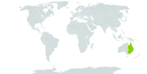 Anthocarapa nitidula world distribution map, present in Australia, Indonesia, Philippines, Papua New Guinea, Solomon Islands, and Vanuatu