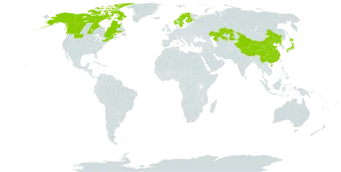 Anthoxanthum monticola world distribution map, present in Canada, China, Finland, France, Japan, Kazakhstan, Montenegro, Norway, Korea (Democratic People's Republic of), Svalbard and Jan Mayen, Sweden, and United States of America