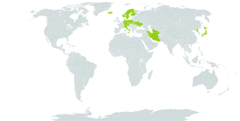 Anthoxanthum nipponicum world distribution map, present in Austria, Switzerland, Czech Republic, Germany, Finland, France, Iran (Islamic Republic of), Iceland, Italy, Japan, Norway, Poland, Korea (Democratic People's Republic of), Sweden, Turks and Caicos Islands, Turkmenistan, and Ukraine