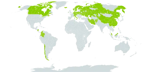 Anthoxanthum nitens world distribution map, present in Afghanistan, Austria, Belarus, Canada, Switzerland, Chile, China, Colombia, Czech Republic, Germany, Denmark, Finland, France, Micronesia (Federated States of), Ireland, Iran (Islamic Republic of), Iceland, Italy, Kazakhstan, Kyrgyzstan, Montenegro, Malaysia, Nicaragua, Netherlands, Norway, Nepal, Poland, Korea (Democratic People's Republic of), Russian Federation, Sweden, Turks and Caicos Islands, and Ukraine