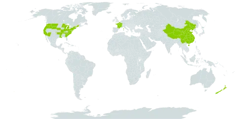 Anthriscus world distribution map, present in China, France, New Zealand, and United States of America