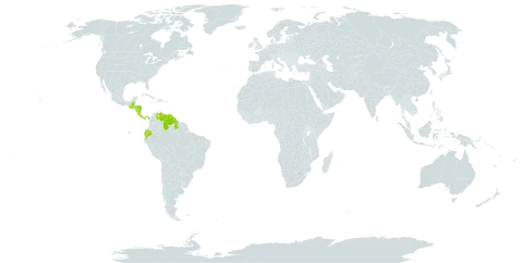 Anthurium bakeri world distribution map, present in Belize, Costa Rica, Ecuador, Guatemala, Guyana, Honduras, Nicaragua, Panama, and Venezuela (Bolivarian Republic of)