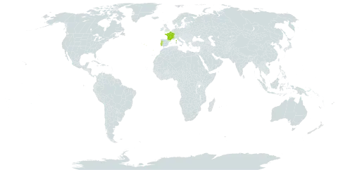 Anthyllis vulneraria subsp. forondae world distribution map, present in France and Portugal