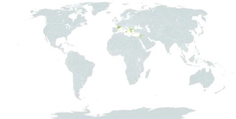 Anthyllis vulneraria subsp. rubriflora world distribution map, present in Albania, Spain, France, Greece, Italy, Jordan, and Lebanon