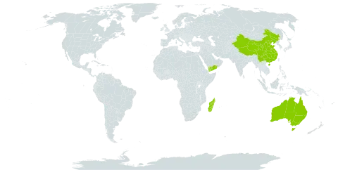 Antiaris world distribution map, present in Australia, China, Madagascar, and Yemen