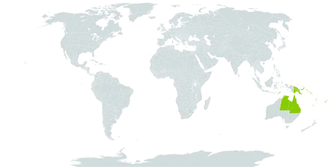 Antiaris toxicaria subsp. macrophylla world distribution map, present in Australia, Fiji, Hong Kong, Philippines, Papua New Guinea, Solomon Islands, Timor-Leste, Tonga, and Vanuatu