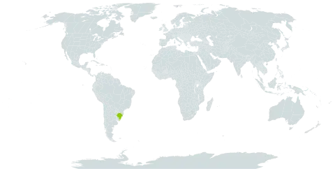 Antiphytum stoechadifolium world distribution map, present in Brazil and Uruguay