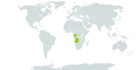 Antrocaryon nannani world distribution map, present in Angola, Congo, Gabon, and Equatorial Guinea