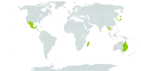 Aphananthe world distribution map, present in Australia, China, Hong Kong, India, Japan, Korea (Republic of), Madagascar, Mexico, Solomon Islands, Thailand, and Taiwan, Province of China