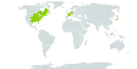 Apios americana world distribution map, present in Canada, Germany, France, Japan, and United States of America