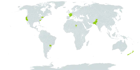 Apium nodiflorum world distribution map, present in Brazil, France, New Zealand, Pakistan, Chad, and United States of America