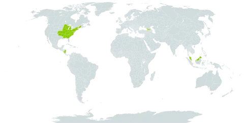 Aplectrum world distribution map, present in Åland Islands, Micronesia (Federated States of), Georgia, Malaysia, Nicaragua, and United States of America