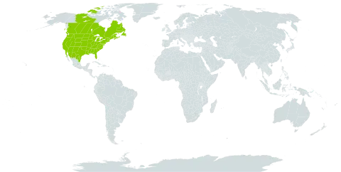 Apocynum cannabinum world distribution map, present in Canada, Mexico, and United States of America