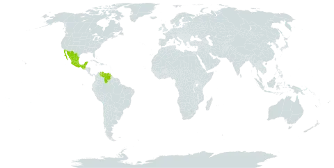 Apoplanesia paniculata world distribution map, present in Guatemala, Mexico, and Venezuela (Bolivarian Republic of)