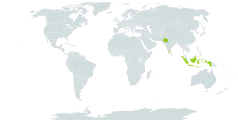 Aporosa bourdillonii world distribution map, present in Indonesia and India