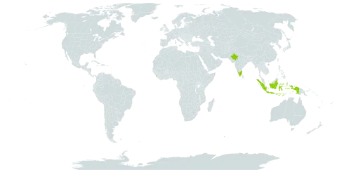 Aporosa fusiformis world distribution map, present in Indonesia, India, and Sri Lanka