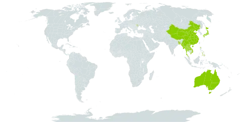 Apostasia wallichii world distribution map, present in Andorra, Australia, Bangladesh, China, Japan, Lao People's Democratic Republic, Moldova (Republic of), Myanmar, Nepal, Philippines, Thailand, and Viet Nam