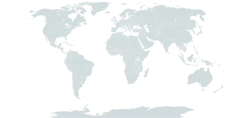 Appendicula polystachya world distribution map, present in Solomon Islands and Vanuatu