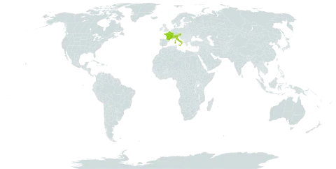 Aquilegia alpina world distribution map, present in Austria, Switzerland, France, Italy, and Liechtenstein