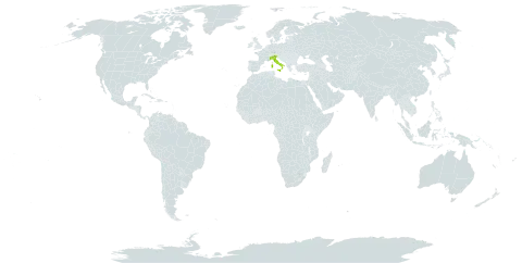 Aquilegia apuana world distribution map, present in Italy