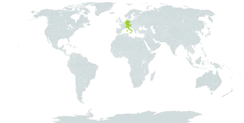 Aquilegia einseleana world distribution map, present in Austria, Switzerland, Germany, Italy, and Slovenia