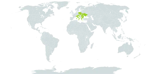 Aquilegia nigricans world distribution map, present in Austria, Bulgaria, Bosnia and Herzegovina, Greece, Croatia, Italy, North Macedonia, Montenegro, Poland, Romania, Serbia, Slovakia, Slovenia, and Ukraine