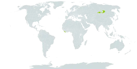 Aquilegia tuvinica world distribution map, present in Liberia and Russian Federation