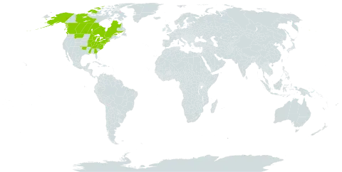 Arabidopsis lyrata (l.) o'kane world distribution map, present in Canada and United States of America