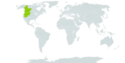 Arabis nuttallii world distribution map, present in Canada and United States of America