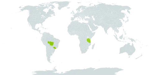 Arachis villosulicarpa world distribution map, present in Brazil and Tanzania, United Republic of