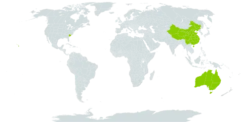 Arachniodes world distribution map, present in Australia, China, and United States of America