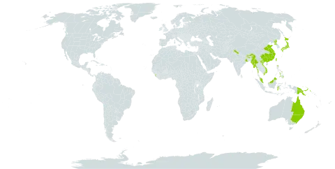 Arachniodes carvifolia world distribution map, present in Australia, Bhutan, China, Indonesia, India, Japan, Sri Lanka, Myanmar, Malaysia, Nepal, Philippines, Papua New Guinea, Korea (Democratic People's Republic of), Taiwan, Province of China, and Viet Nam