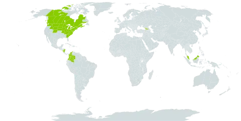 Aralia nudicaulis world distribution map, present in Canada, Colombia, France, Micronesia (Federated States of), Georgia, Malaysia, Nicaragua, and United States of America