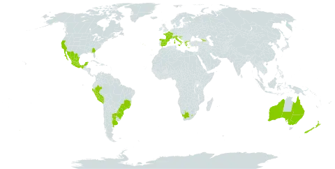 Araujia sericifera world distribution map, present in Argentina, Australia, Brazil, Spain, France, Georgia, Greece, Croatia, Italy, Lesotho, Mexico, New Zealand, Peru, Portugal, Paraguay, Uruguay, United States of America, and South Africa