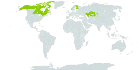 Arctagrostis latifolia world distribution map, present in Canada, Finland, Kazakhstan, Montenegro, Norway, Svalbard and Jan Mayen, and United States of America