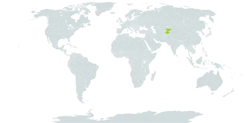 Arctium pseudarctium world distribution map, present in Afghanistan, Kyrgyzstan, and Tajikistan