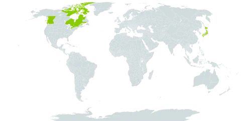 Arctopoa eminens world distribution map, present in Canada and Japan