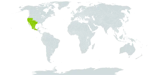 Arctostaphylos pungens world distribution map, present in Mexico and United States of America