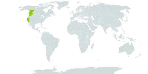 Arctostaphylos x media world distribution map, present in Canada and United States of America