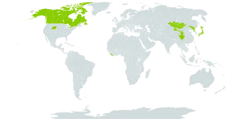 Arctous rubra world distribution map, present in Canada, China, Japan, Liberia, Mongolia, Korea (Democratic People's Republic of), and United States of America