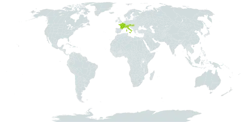 Arenaria serpyllifolia subsp. marschlinsii world distribution map, present in Austria, Switzerland, France, Hungary, Italy, Liechtenstein, and Slovenia