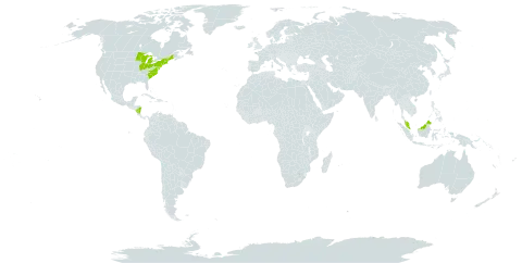 Arethusa world distribution map, present in Micronesia (Federated States of), Malaysia, Nicaragua, and United States of America