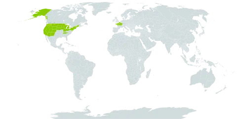 Argentina anserina world distribution map, present in France and United States of America