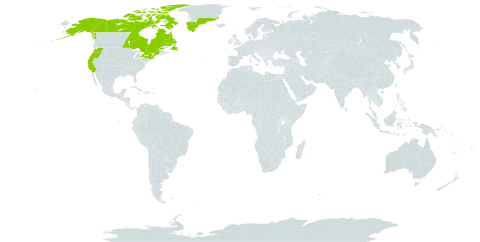 Argentina anserina subsp. groenlandica world distribution map, present in Canada, Greenland, and United States of America