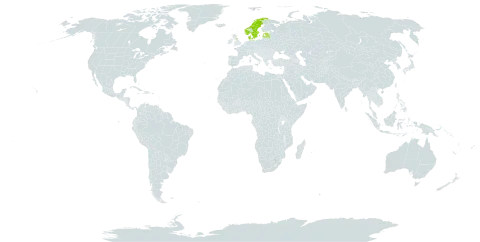 Aria rupicola world distribution map, present in Denmark, Estonia, United Kingdom of Great Britain and Northern Ireland, Latvia, Norway, and Sweden