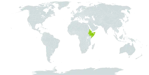 Aristida anisochaeta world distribution map, present in Eritrea, Ethiopia, and Somalia