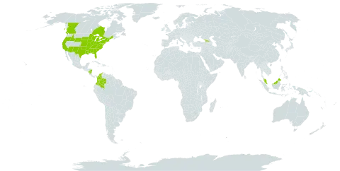 Aristida oligantha world distribution map, present in Åland Islands, Canada, Colombia, Micronesia (Federated States of), Georgia, Malaysia, Nicaragua, and United States of America