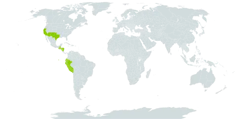 Aristida schiedeana world distribution map, present in Ecuador, Guatemala, Honduras, Nicaragua, Peru, and United States of America