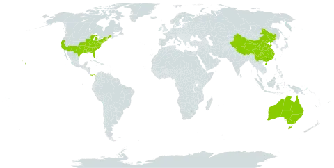 Aristolochia world distribution map, present in Australia, China, Panama, and United States of America